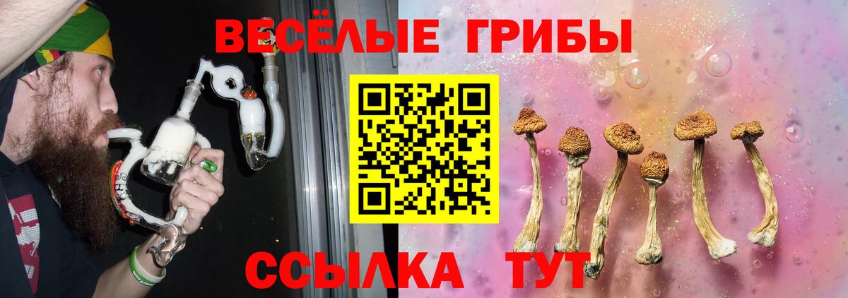 Псилоцибиновые грибы MAGIC MUSHROOMS  Вход с VPN  Галлюциногенные грибы MAGIC MUSHROOMS  Дербент 